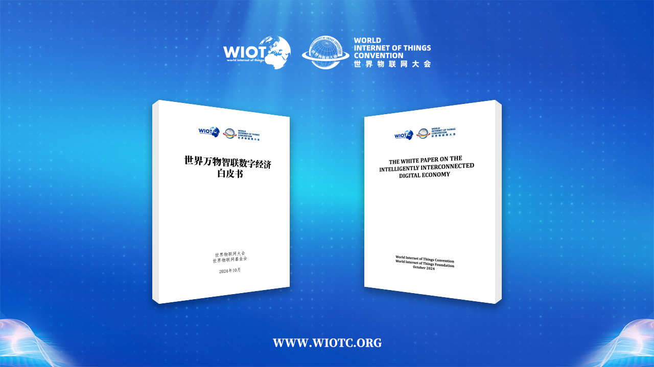 the White Paper on the Intelligently Interconnected Digital Economy